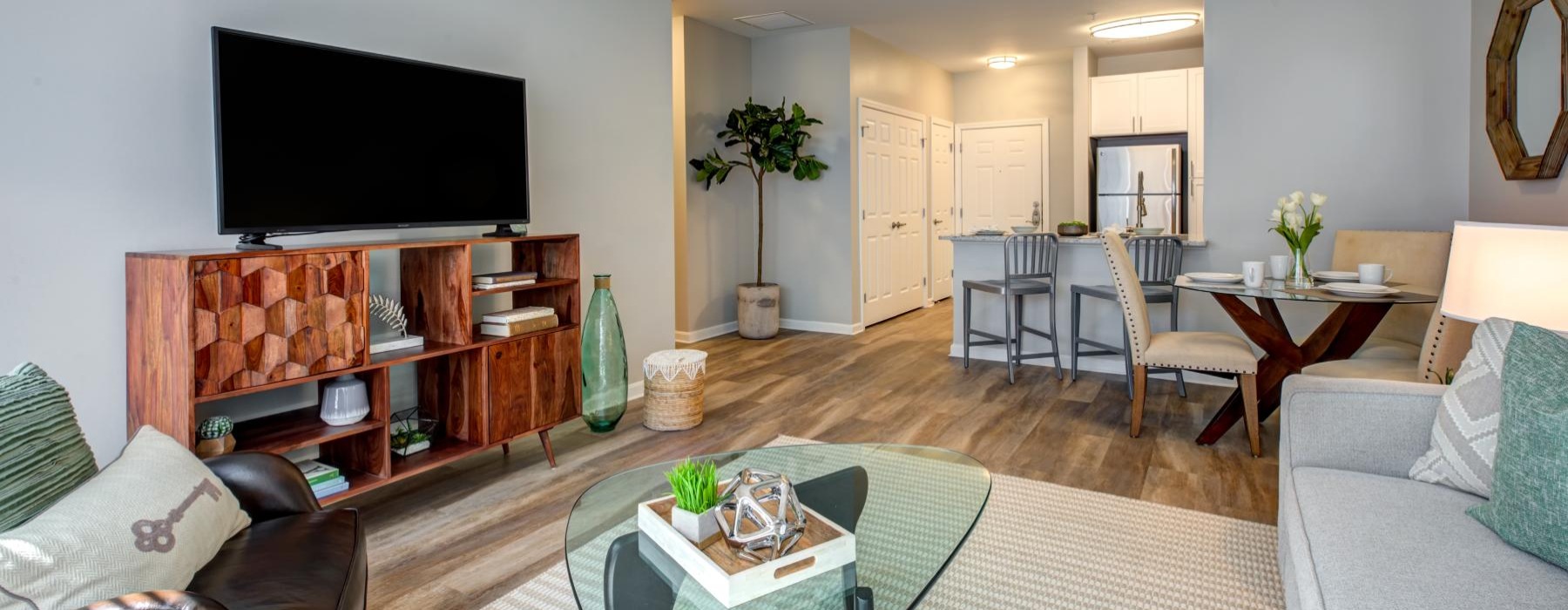a living room with a tv and couches